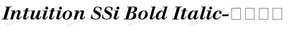 Intuition SSi Bold Italic字体转换